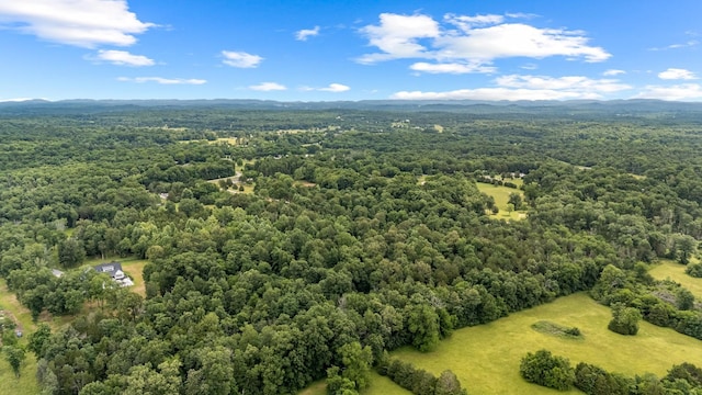0 Lasea Rd, Spring Hill, TN 37174