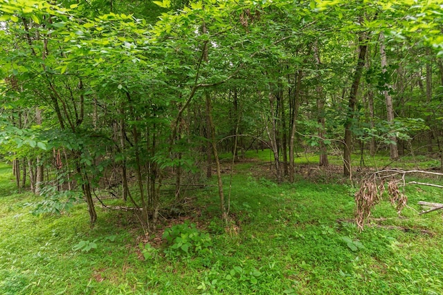 0 Lasea Rd, Spring Hill, TN 37174