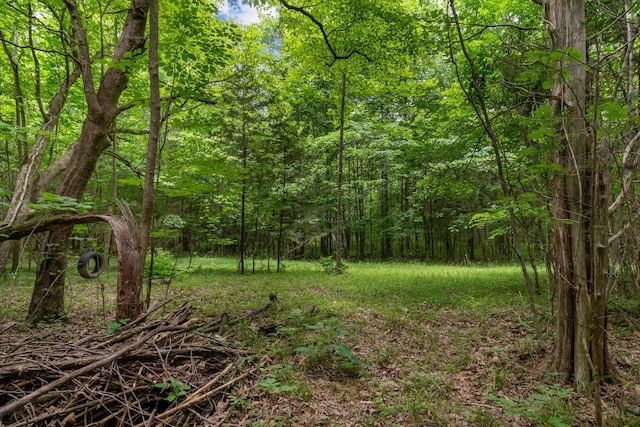 0 Lasea Rd, Spring Hill, TN 37174