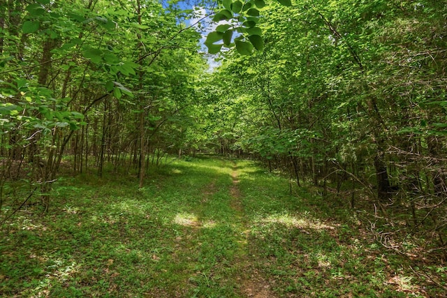 0 Lasea Rd, Spring Hill, TN 37174