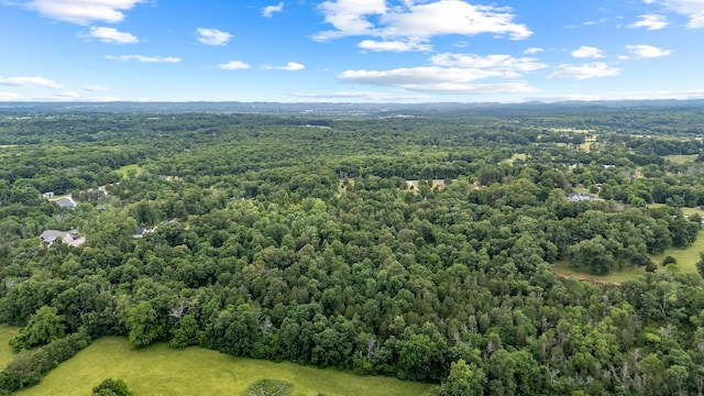 0 Lasea Rd, Spring Hill, TN 37174