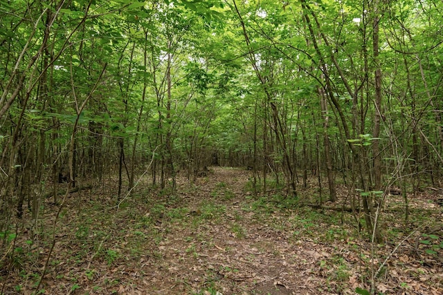 0 Lasea Rd, Spring Hill, TN 37174