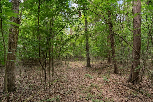 0 Lasea Rd, Spring Hill, TN 37174