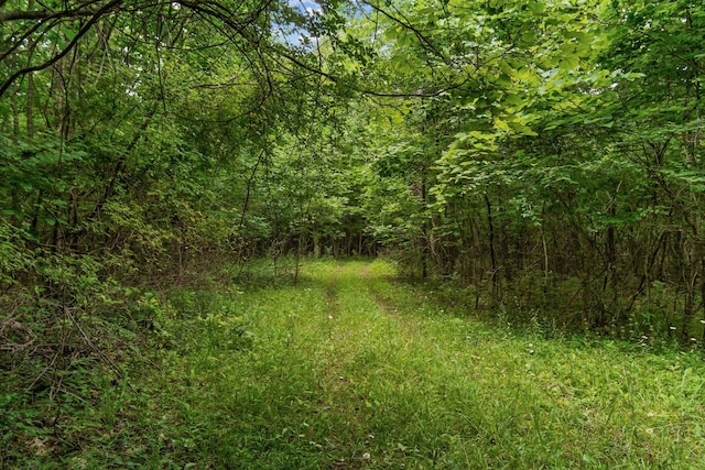 0 Lasea Rd, Spring Hill, TN 37174