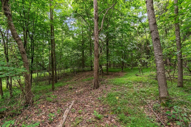 0 Lasea Rd, Spring Hill, TN 37174