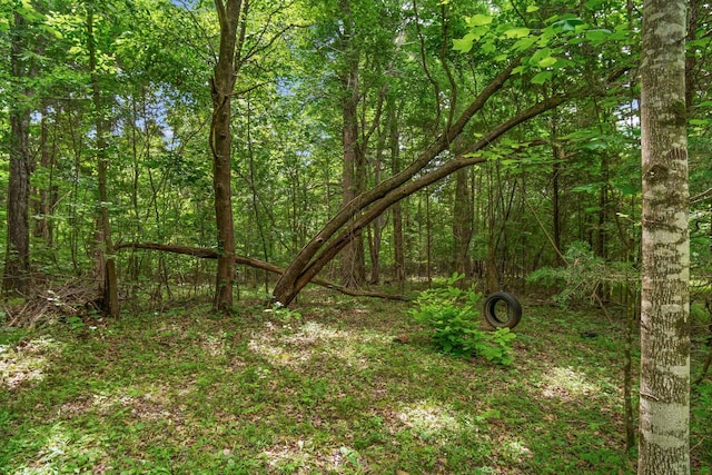 0 Lasea Rd, Spring Hill, TN 37174