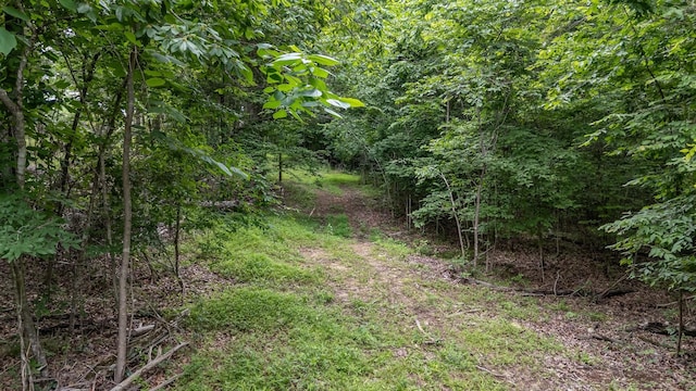 0 Lasea Rd, Spring Hill, TN 37174