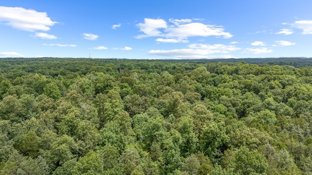 0 Lasea Rd, Spring Hill, TN 37174