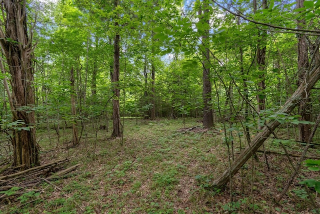 0 Lasea Rd, Spring Hill, TN 37174