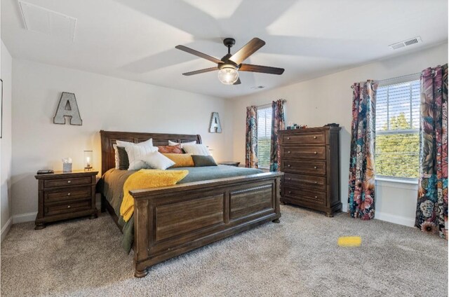 2624 Red Sky Aly, Antioch, TN 37013 - photo 20