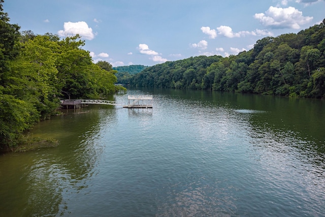 0 Thacker Rd, Quebeck, TN 38579