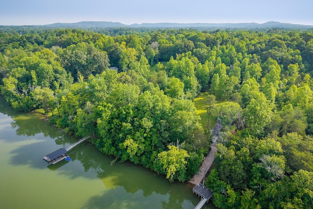 0 Thacker Rd, Quebeck, TN 38579