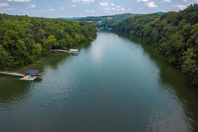 0 Thacker Rd, Quebeck, TN 38579