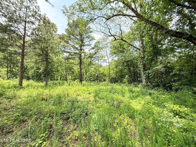 0 Forest Creek Pkwy, Oak Ridge, TN 37830 - photo 6