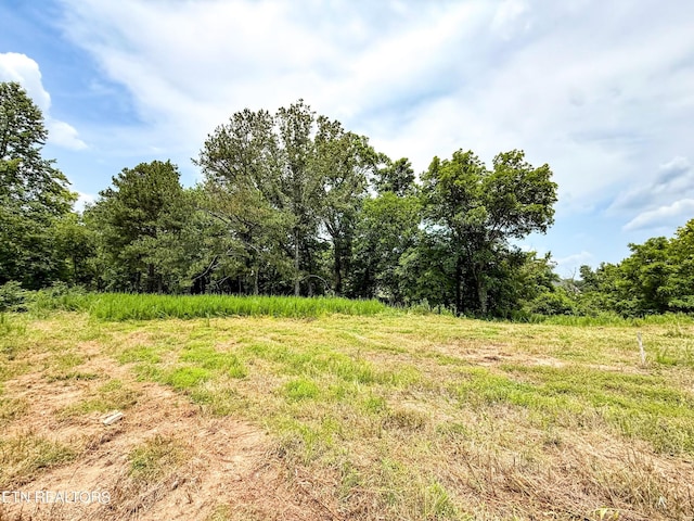 0 Forest Creek Pkwy, Oak Ridge, TN 37830 - photo 4