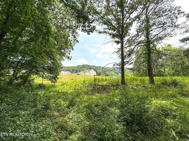 0 Forest Creek Pkwy, Oak Ridge, TN 37830 - photo 9
