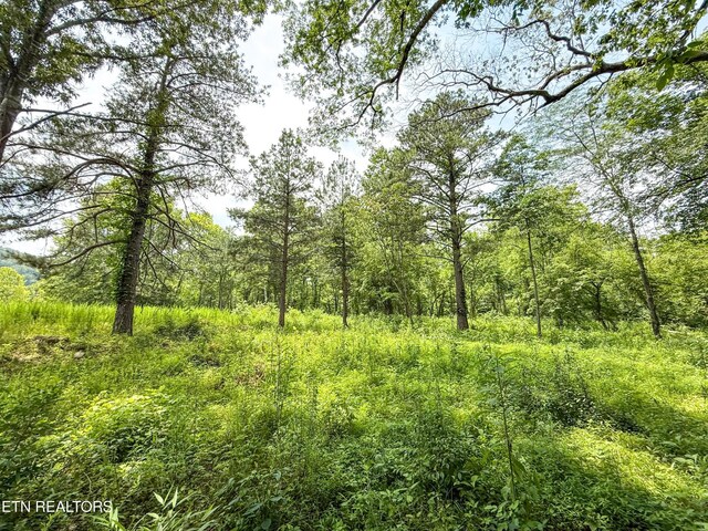 0 Forest Creek Pkwy, Oak Ridge, TN 37830 - photo 8