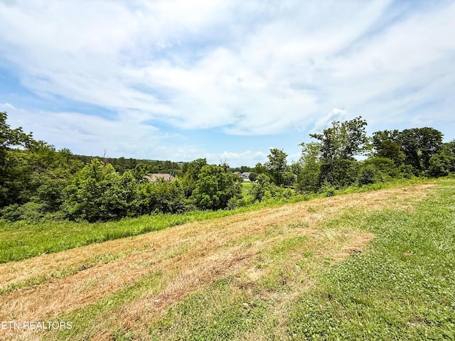 0 Forest Creek Pkwy, Oak Ridge, TN 37830 - photo 3
