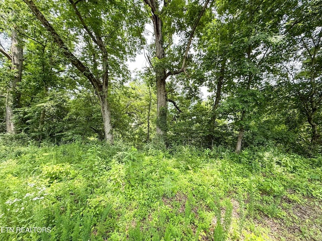 0 Forest Creek Pkwy, Oak Ridge, TN 37830 - photo 7