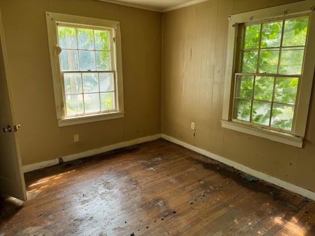 421 Hickman St, Columbia, TN 38401 - unfurnished room featuring hardwood / wood-style flooring, healthy amount of natural light, and wood walls