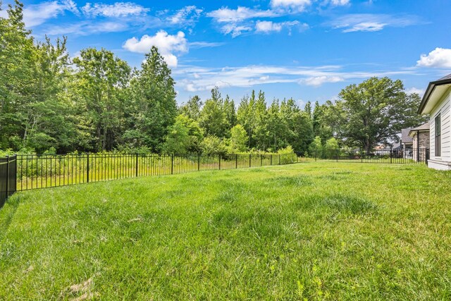 1055 Wittys Way, Clarksville, TN 37043 - view of yard