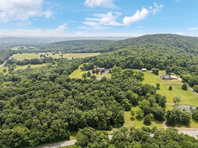 1416 Swindell Hollow Rd, Lebanon, TN 37090 - photo 85