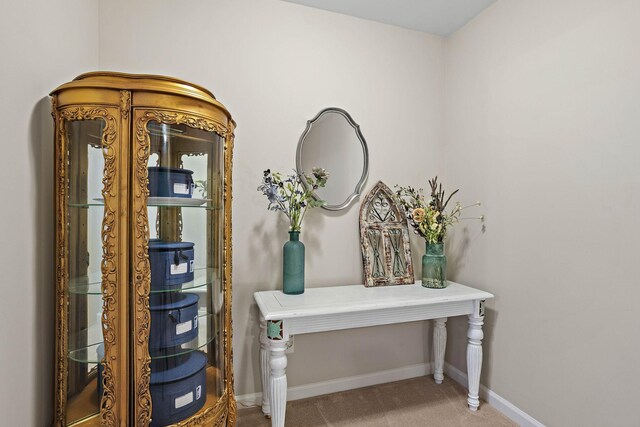 341 Lola Ln, Cottontown, TN 37048 - detailed view of baseboards and carpet
