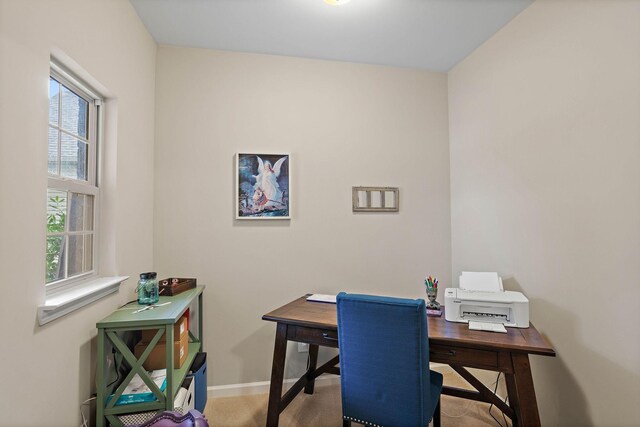 341 Lola Ln, Cottontown, TN 37048 - office featuring healthy amount of natural light