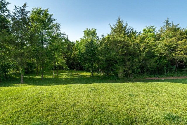 3219 Bradfield Dr, Nolensville, TN 37135 - photo 50