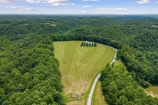 547 Martin Ridge Ln, Gainesboro, TN 38562 - photo 55