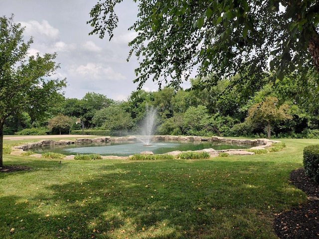 179 Avalon Dr, Gallatin, TN 37066 - view of community with a water view and a lawn