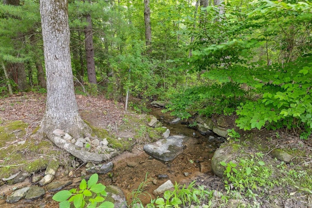 3604 Gentry Station Dr, Signal Mountain, TN 37377 - view of undeveloped land