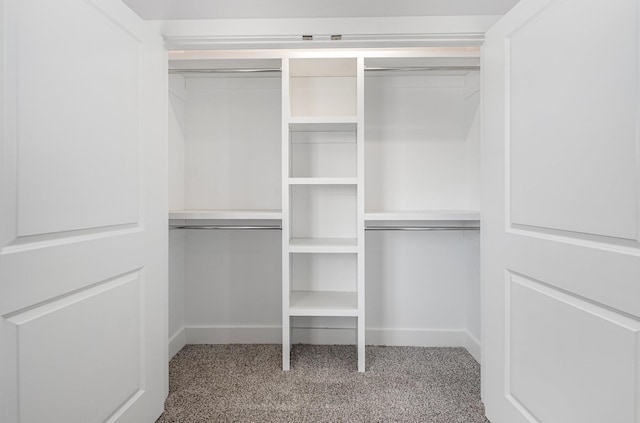 121 Bellvue Dr, Lebanon, TN 37090 - view of closet
