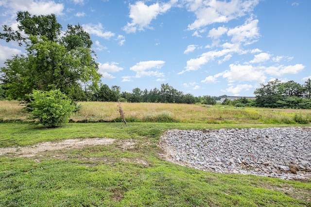 121 Bellvue Dr, Lebanon, TN 37090 - view of yard