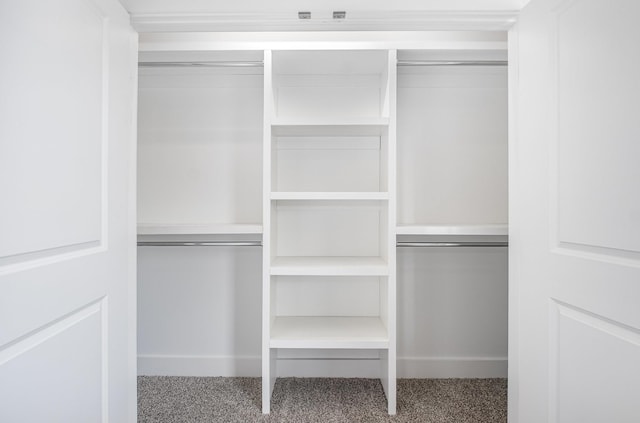121 Bellvue Dr, Lebanon, TN 37090 - view of closet
