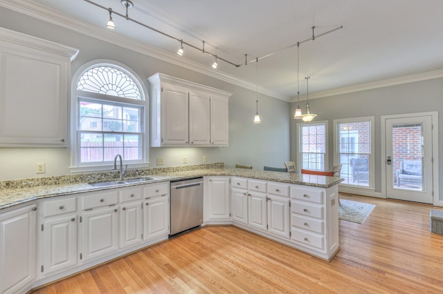 101 Spring Creek Trl, Hendersonville, TN 37075 - kitchen featuring stainless steel dishwasher, rail lighting, light wood-style floors, a peninsula, and ornamental molding