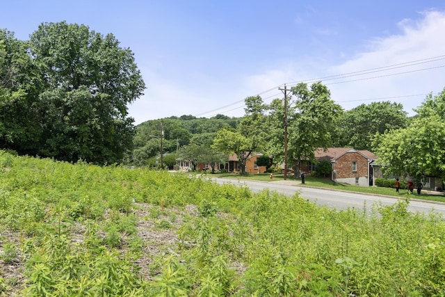 73 Tusculum Rd, Antioch, TN 37013 - photo 7