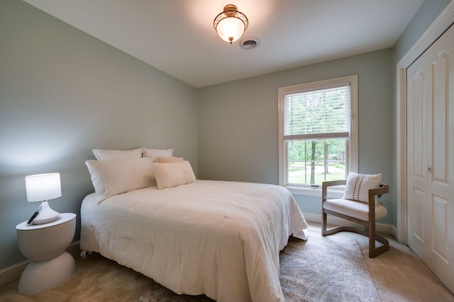 101 Oak Dr, Waverly, TN 37185 - bedroom featuring carpet floors and a closet