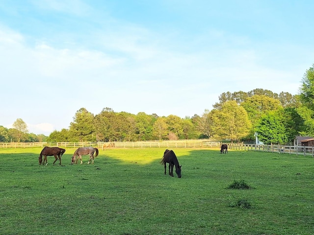 2600 Clanton Rd, Lawrenceburg, TN 38464 - surrounding community with a view of rural / pastoral area and an outdoor riding arena