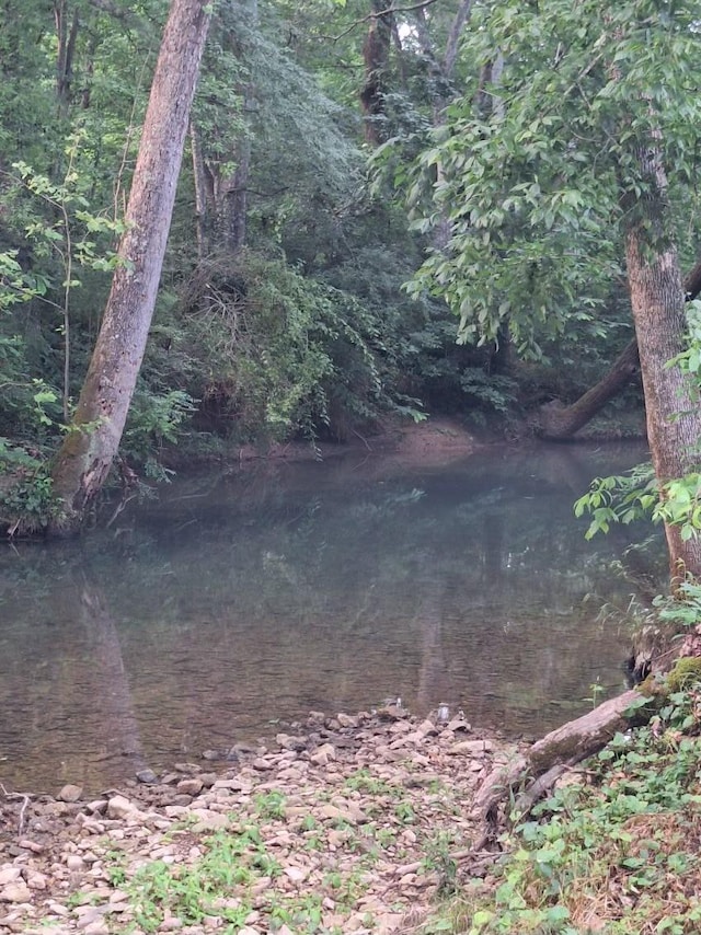 2600 Clanton Rd, Lawrenceburg, TN 38464 - view of woods