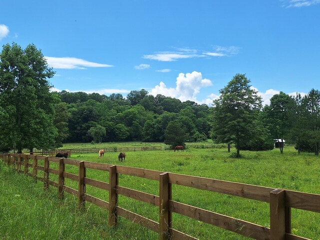 2600 Clanton Rd, Lawrenceburg, TN 38464 - view of yard featuring a rural view