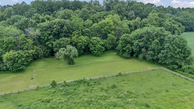 2600 Clanton Rd, Lawrenceburg, TN 38464 - overview of rural landscape