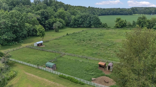 2600 Clanton Rd, Lawrenceburg, TN 38464 - view of rural area featuring agricultural land