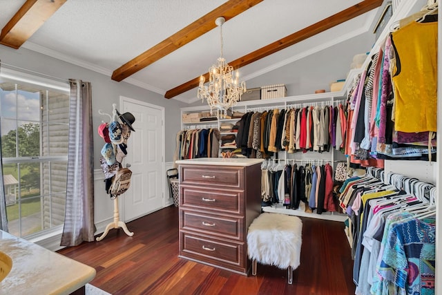 2600 Clanton Rd, Lawrenceburg, TN 38464 - walk in closet with beamed ceiling, dark wood-style flooring, and a chandelier
