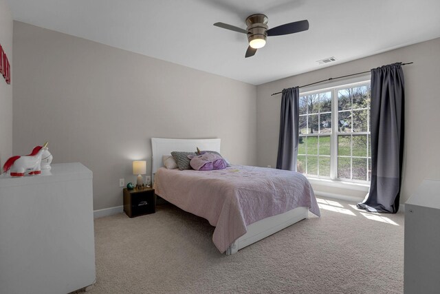 3005 Coral Bell Ln, Franklin, TN 37067 - photo 44