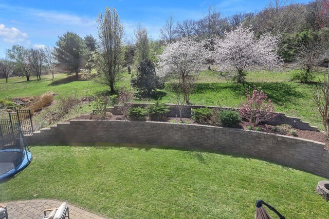 3005 Coral Bell Ln, Franklin, TN 37067 - photo 52