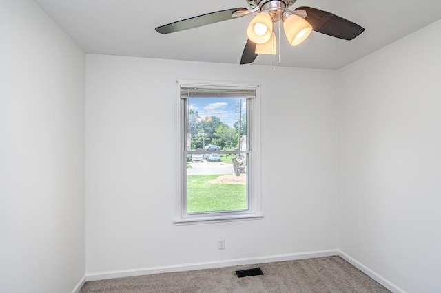 3461 Arvin Dr, Clarksville, TN 37042 - photo 19