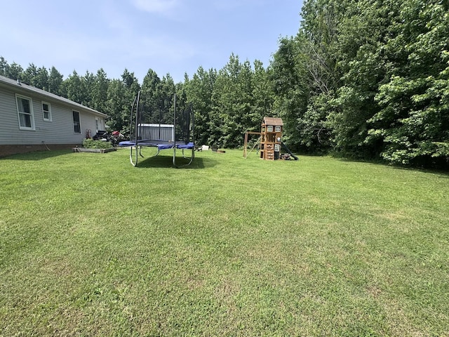 739 Carmack Ct, Clarksville, TN 37042 - view of green lawn with a trampoline and a playground