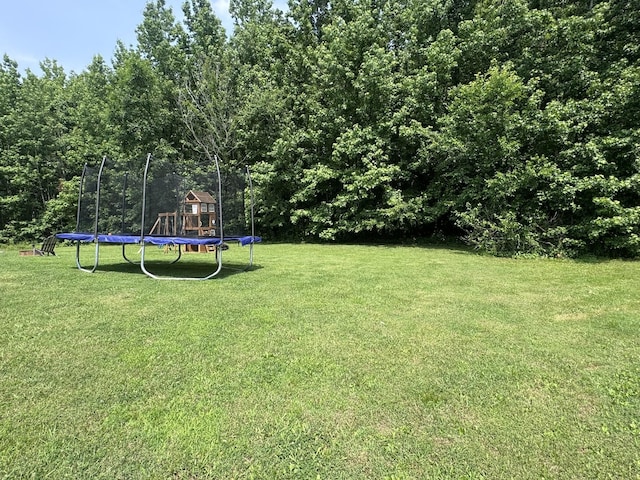 739 Carmack Ct, Clarksville, TN 37042 - view of green lawn with a trampoline and a playground
