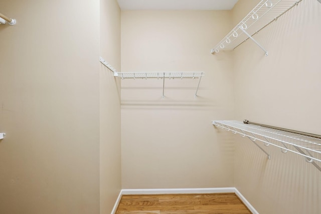 2025 Morrison Ave, Spring Hill, TN 37174 - walk in closet featuring wood finished floors